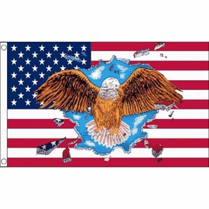 海外限定 国旗 アメリカ合衆国 星条旗 USA イーグル ワシ 鷲 特大フラッグ