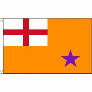 海外限定 国旗 北アイルランド オレンジ結社 特大フラッグ