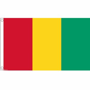 海外限定 国旗 ギニア共和国 特大フラッグ