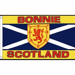 海外限定 国旗 スコットランド 国章 セント アンドリュー クロス 聖アンデレ十字 聖アンドロス十字 特大フラッグ