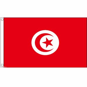 海外限定 国旗 チュニジア共和国 特大フラッグ