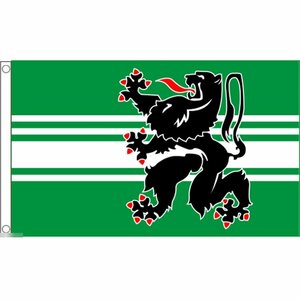 海外限定 国旗 ベルギー王国 オースト フランデレン州 特大フラッグ