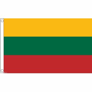 海外限定 国旗 リトアニア共和国 特大フラッグ