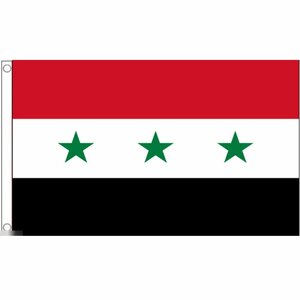 海外限定 国旗 シリア アラブ共和国 旧国旗 特大フラッグ