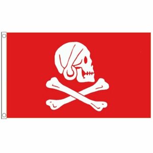 海外限定 国旗 ヘンリー エイヴリー エイブリー ロング ベン 海賊旗 パイレーツ スカル 骸骨 ドクロ 特大フラッグ