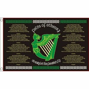 海外限定 国旗 アイルランド共和国 国章 特大フラッグ