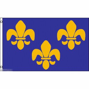 海外限定 国旗 フランス王家 ユリ 紋章 フルール・ド・リス 特大フラッグ