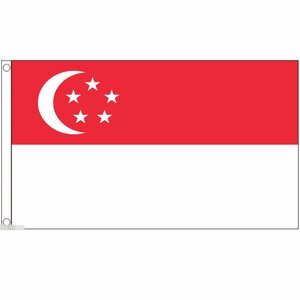 海外限定 国旗 シンガポール共和国 特大フラッグ