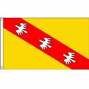 海外限定 国旗 ロレーヌ地域圏 フランス 特大フラッグ