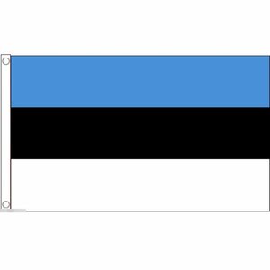 海外限定 国旗 エストニア共和国 特大フラッグ