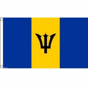 海外限定 国旗 バルバドス カリブ海 特大フラッグ