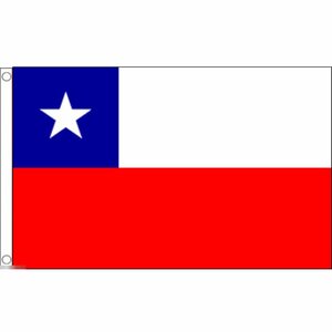 海外限定 国旗 チリ共和国 特大フラッグ