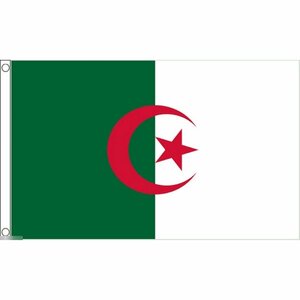 海外限定 国旗 アルジェリア民主人民共和国 特大フラッグ