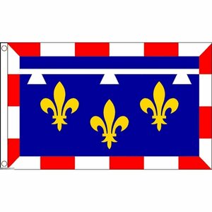 海外限定 国旗 サントル ヴァル ド ロワール地域圏 フランス 特大フラッグ