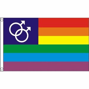 海外限定 国旗 虹 レインボーフラッグ LGBT ゲイ 特大フラッグ