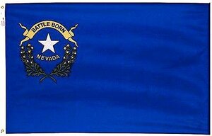 海外限定 国旗 アメリカ ネバダ州 州旗 大フラッグ