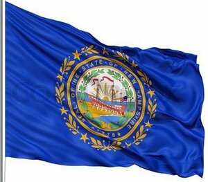 海外限定 国旗 アメリカ ニューハンプシャー州 州旗 大フラッグ