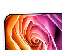 iPhone 8 iPhone 8 Plus iPhone X アイフォン アイフォーン エイト プラス テンバラ 薔薇 アートケース 保護フィルム付_画像2