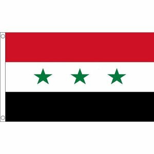 海外限定 旧国旗 イラク共和国 1963-1991年 貴重 特大フラッグ