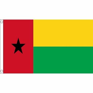 海外限定 国旗 ギニアビサウ共和国 アフリカ 貴重 特大フラッグ
