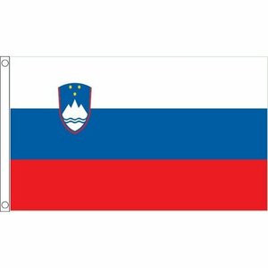 海外限定 スロヴェニア共和国ヨーロッパ 国旗 貴重 特大フラッグ