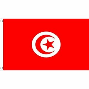 海外限定 国旗 チュニジア共和国 アフリカ 貴重 特大フラッグ