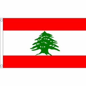 海外限定 国旗 レバノン共和国 貴重 大フラッグ
