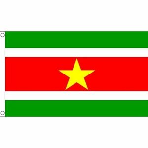 海外限定 国旗 スリナム共和国 南アメリカ 貴重 特大フラッグ
