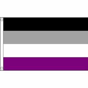 海外限定 国旗 アセクシャル 無性愛者 LGBT 貴重 特大フラッグ