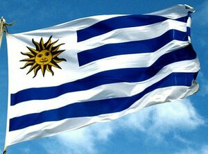 海外限定 国旗 ウルグアイ東方共和国 G02 特大フラッグ