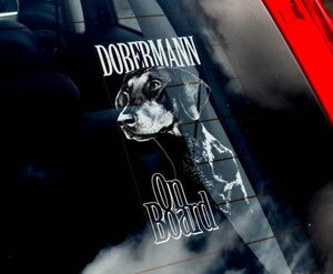 海外限定 新品 ドーベルマン 犬 190 x 100mm ステッカー