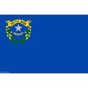 海外限定 国旗 アメリカ ネバダ州 州旗 特大フラッグ