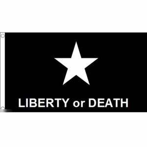 海外限定 国旗 アメリカ独立戦争 自由か死か 特大フラッグ