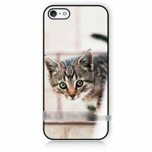 iPhone6 6S子ネコ 猫 アートケース 保護フィルム付_画像1