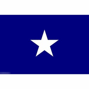 海外限定 国旗 星 ☆ ボニー・ブルー・フラッグ 西フロリダ共和国 特大フラッグ