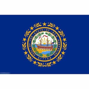 海外限定 国旗 アメリカ ニューハンプシャー州 州旗 特大フラッグ