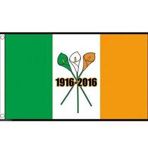 海外限定 国旗 アイルランド イースター蜂起 特大フラッグ