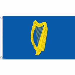 海外限定 国旗 アイルランド 大統領旗 特大フラッグ
