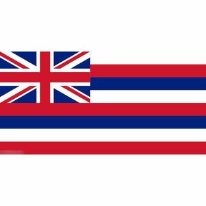 海外限定 国旗 アメリカ ハワイ州 州旗 特大フラッグ