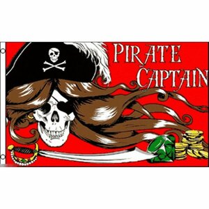 海外限定 国旗 海賊旗 パイレーツ スカル 骸骨 キャプテン 船長 レディ 女 特大フラッグ