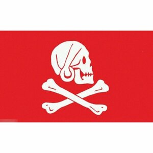 海外限定 国旗 海賊旗 パイレーツ スカル 骸骨 クロスボーン 赤 レッド 特大フラッグ