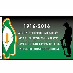 海外限定 国旗 アイルランド イースター 復活祭蜂起 1916年 特大フラッグ