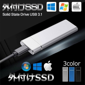 外付けSSD ポータブルSSD 2TB Type-C USB3.1対応 Mac スマホ ドライバー不要 使用簡単 Gen2 Gen1 パソコン PC android 耐衝撃 PCPJ23