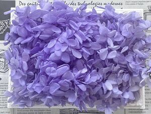  preserved flower pillar mid a hydrangea 20g rom and rear (before and after) pale lilac 
