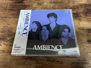 アンビエンスCD「AMBIENCE」ドラマ「もう涙は見せない」主題歌●