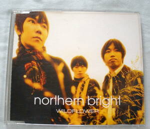 ★【中古ＣＤ】♪ WILDFLOWER　♪　 NORTHERN BRIGHT ノーザンブライト