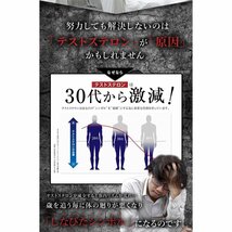 マカプレミアム 30日分 マカ シトルリン アルギニン クラチャイダム 亜鉛 全10種類【新品・送料込】_画像4