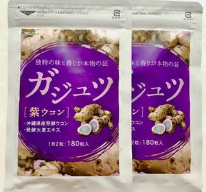 ◆送料無料◆ ガジュツ 約6ヶ月分(約3ヶ月分×2袋) 紫ウコン 沖縄県産発酵ウコン 発酵大麦エキス シードコムス サプリメント