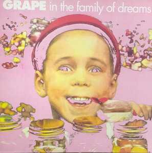 ギターポップ Grape in the family of dreams lp 美盤 レコード