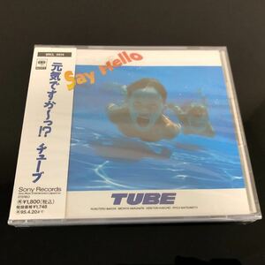 7^157 新品未開封　見本盤　TUBE / Say Hello